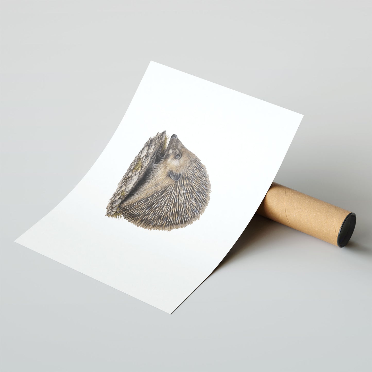 Cotton Rag Fine Art Print A4 - Artistic hedgehog design with gentle aesthetic on professional fine art cotton rag paper