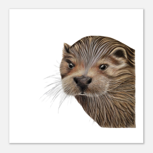 5432ec72-a7e2-45a5-a4fc-95bf5a1ee19d