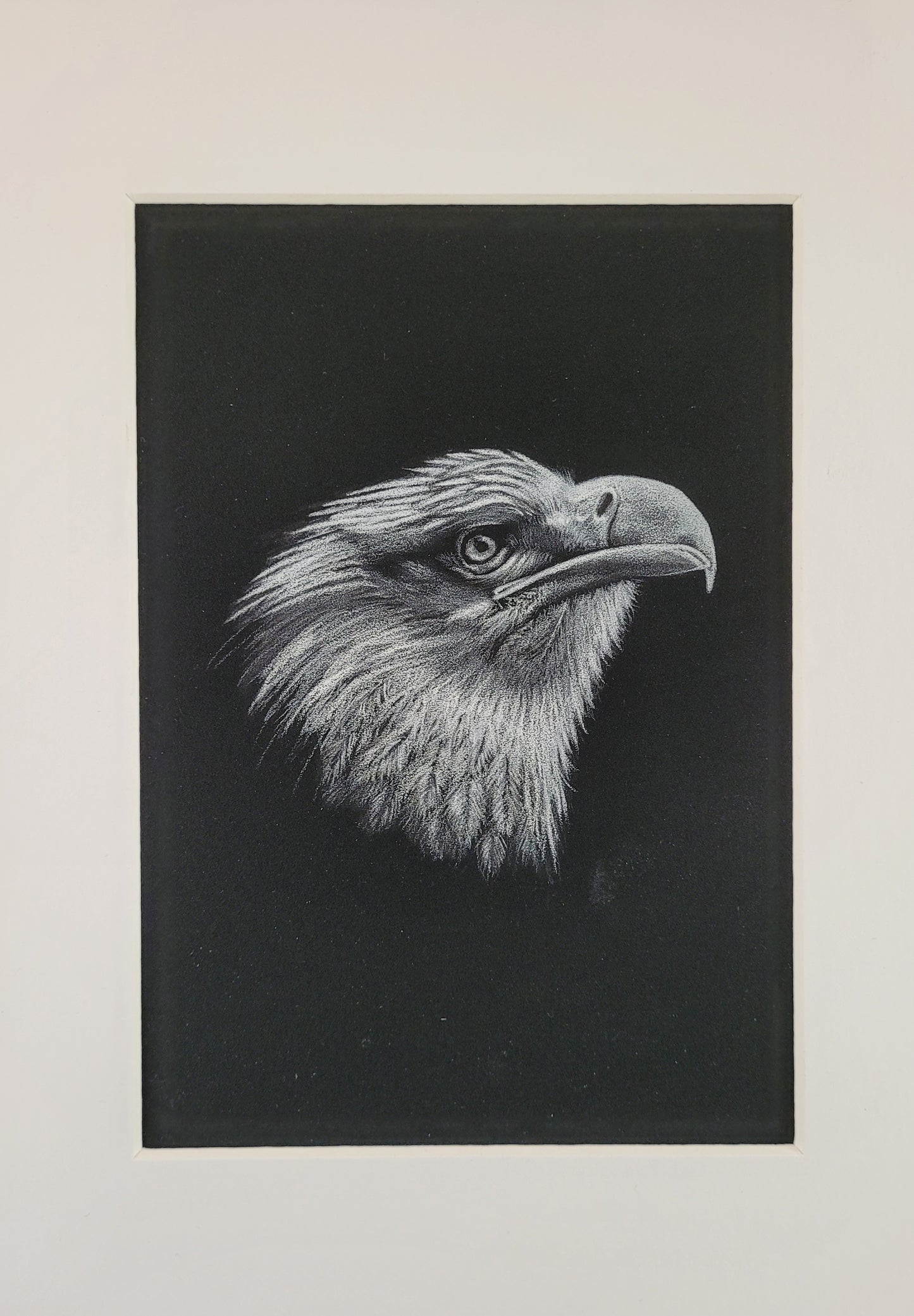 Spirit of the Eagle