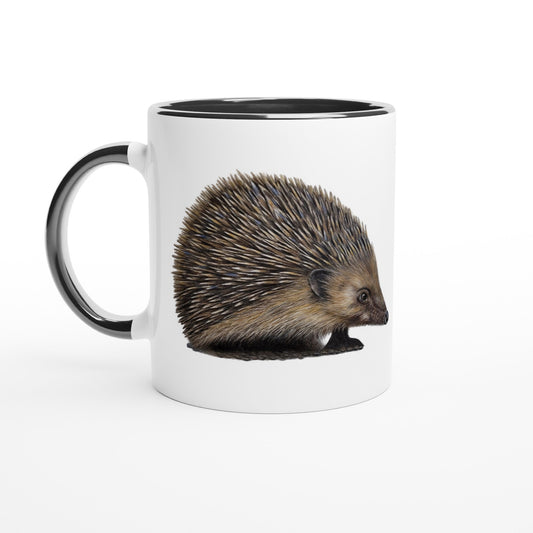 ac37eac8-51e3-49bd-a373-c57f18919992