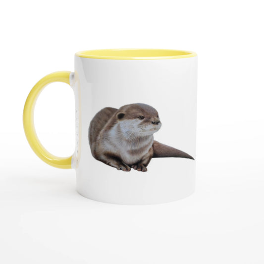 dcf022e2-bb17-4314-815f-96ba28776322