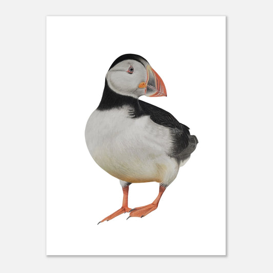 e96fc557-0d06-483e-a929-cae92751d745