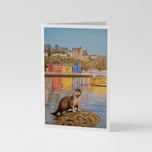 Cards