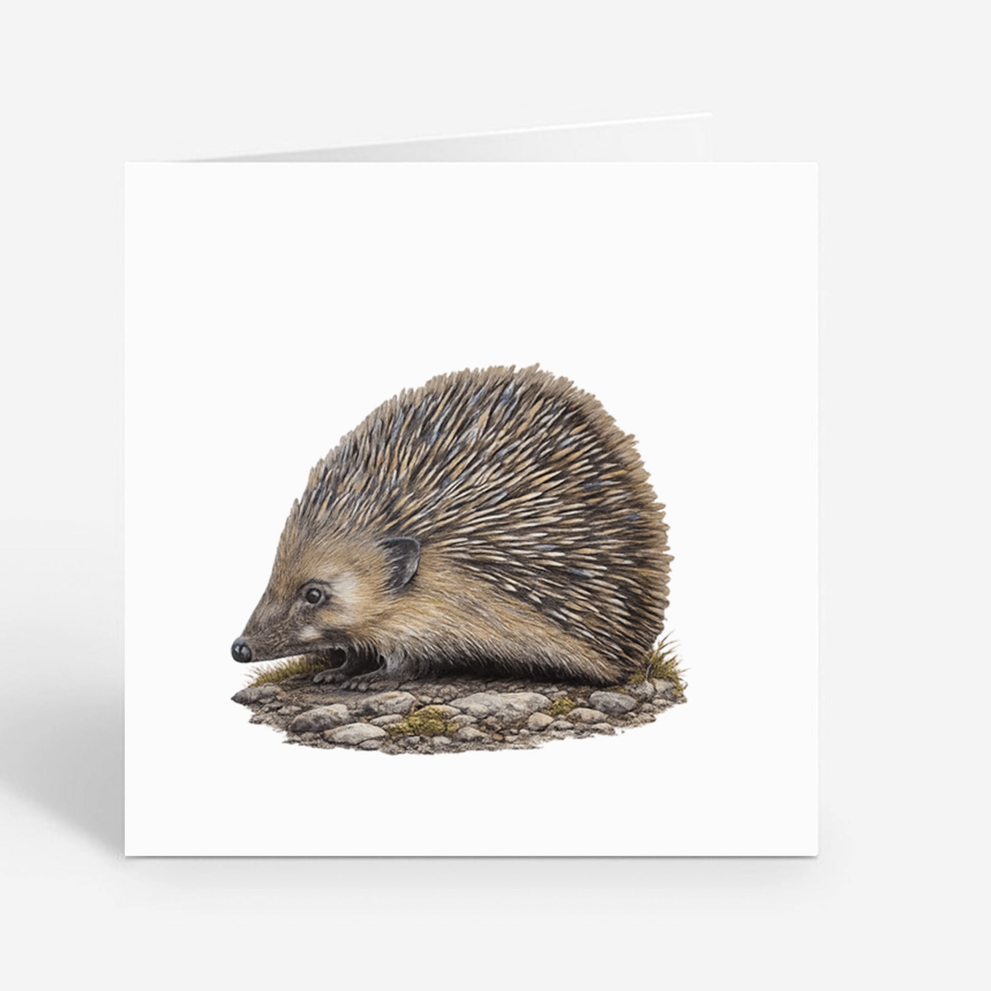 PP-GRE-6x6-ENVELOPE - Square Greetings Cards Mockup