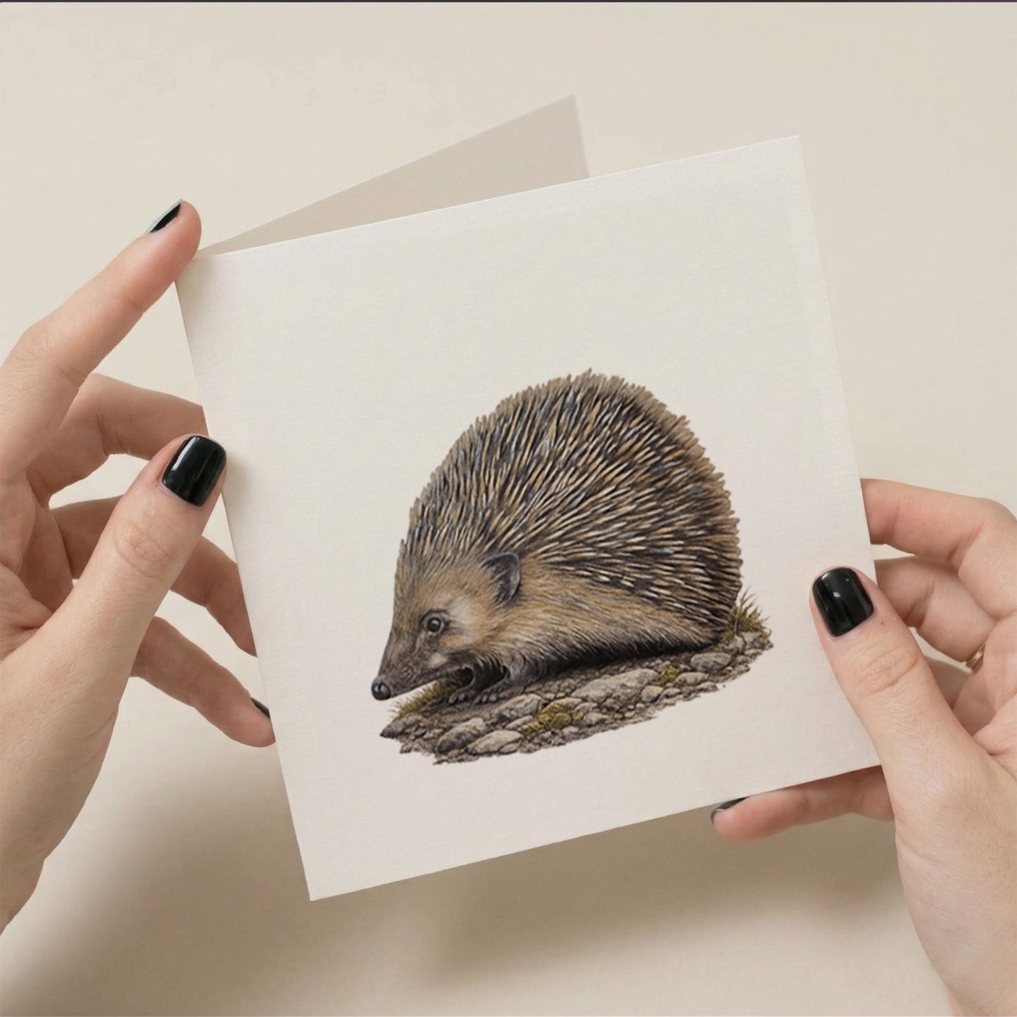Hedgehog Greetings Card 6x6 Pack of 10 - Multiple cards fanned out displaying the hedgehog design by Karen Lambie Artist on square card format