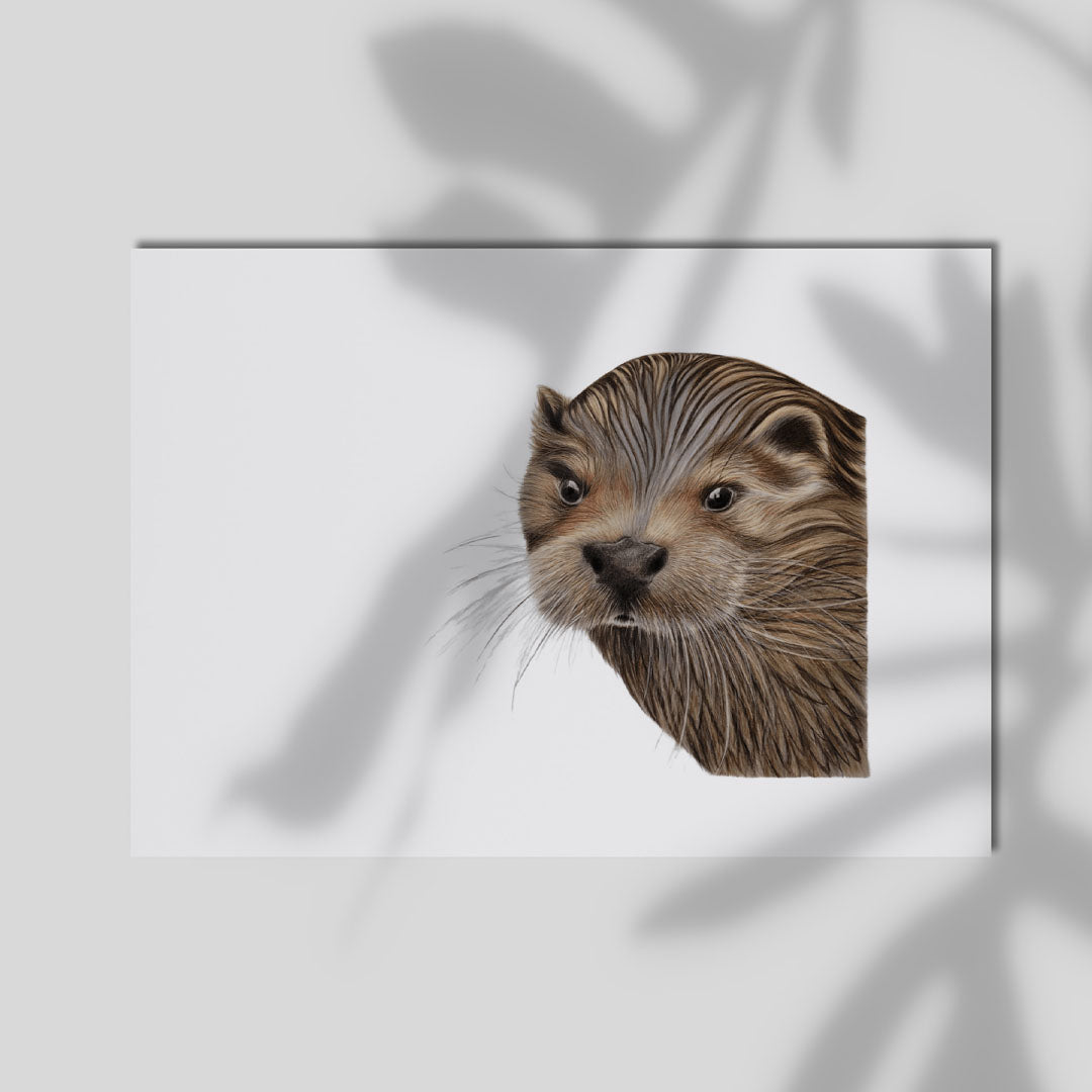 Otter Fine Art A4 Print Smooth Cotton Rag - Detailed illustration of an otter in natural tones swimming gracefully with intricate line work and watercolor-style detailing
