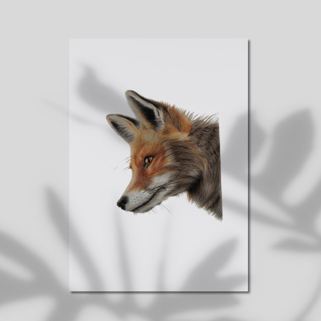 Premium Cotton Rag A4 - Fox portrait showing intelligent expression with rich brown and amber coloring on smooth cotton rag