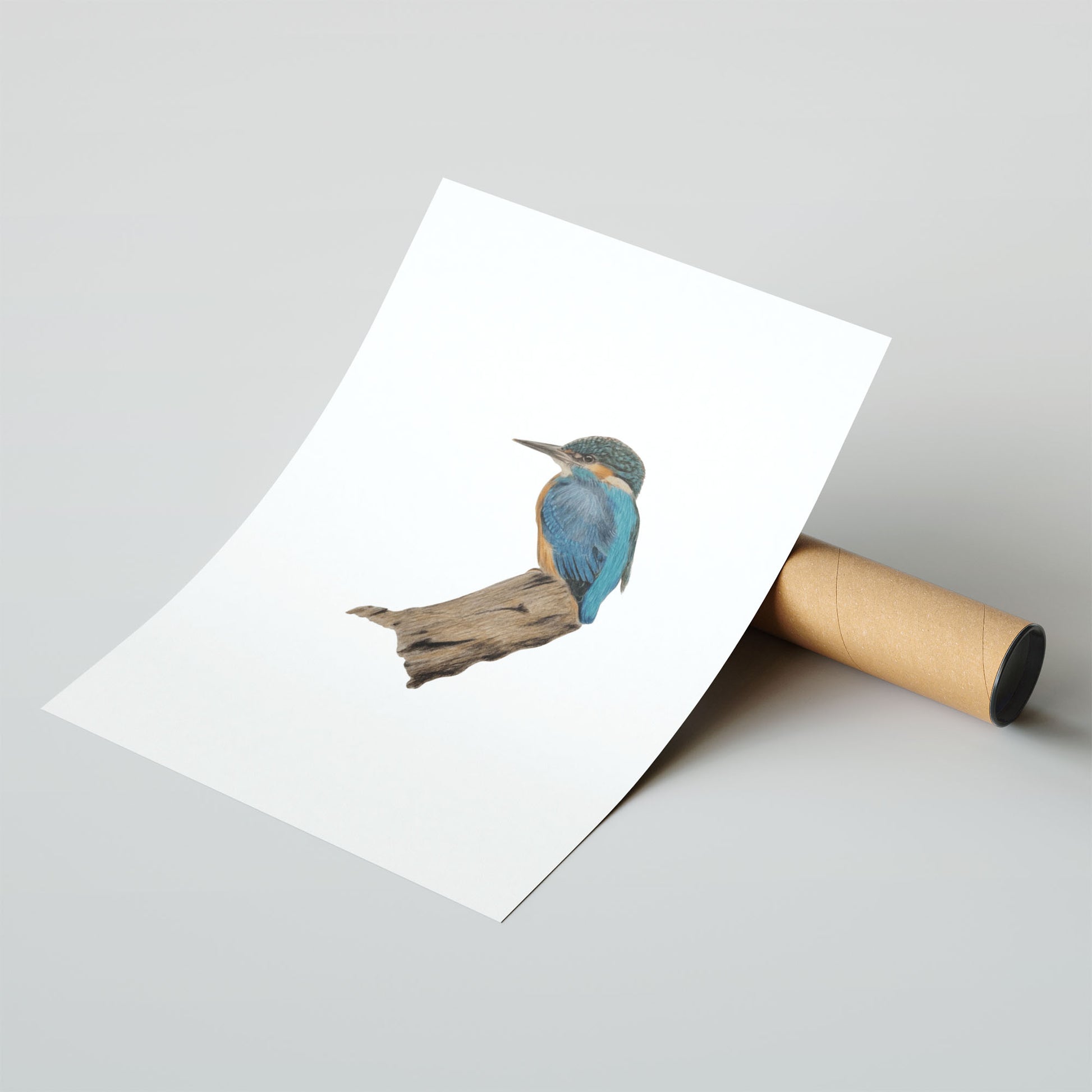 Fine Art Print A4 Smooth Cotton Rag - Framed kingfisher fine art print displayed on wall showing museum-quality cotton rag finish
