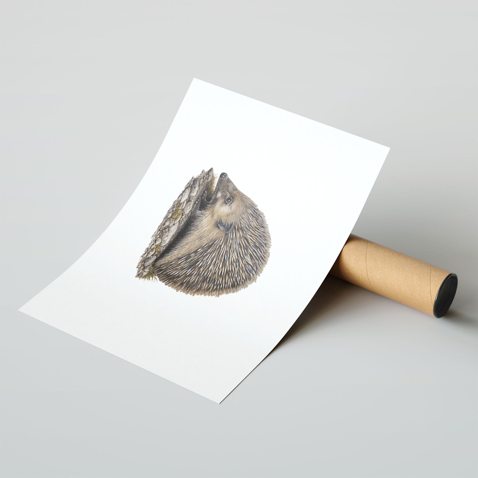 Cotton Rag Fine Art Print A4 - Artistic hedgehog design with gentle aesthetic on professional fine art cotton rag paper
