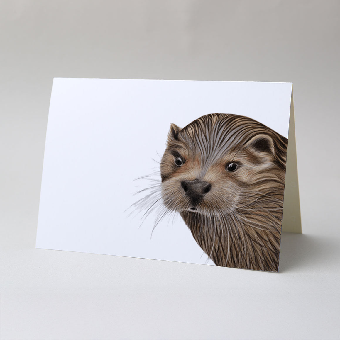 A6 Greetings Card with Envelope - Otter greeting card featuring realistic wildlife artwork with warm earth tones and blank interior for personalised message
