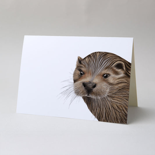 A6 Folded Greetings Card 10 Pack - Close-up illustration of curious otter with gentle expression and cream and brown tones
