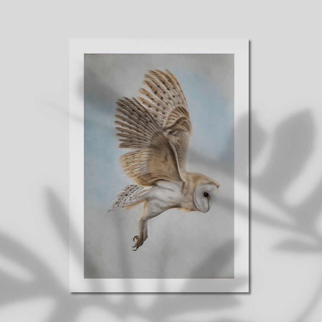 Premium Smooth Cotton Rag A4 - Realistic barn owl illustration in flight with cream and brown feathering, heart-shaped face and soft grey-blue background