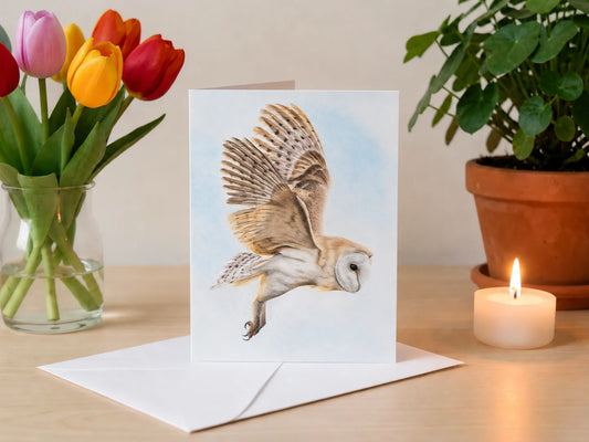 Barn Owl in Flight Greetings Card, single A6 card