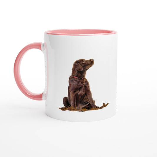 743a915e-2ec2-407c-95f3-f539246e6c3f