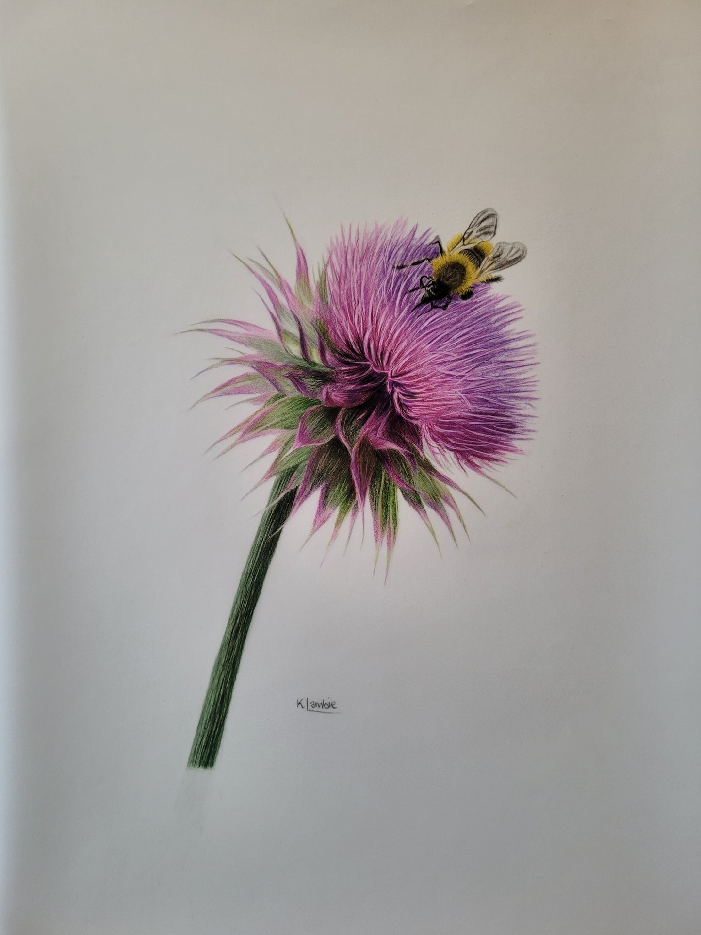 Pollinator's Pause