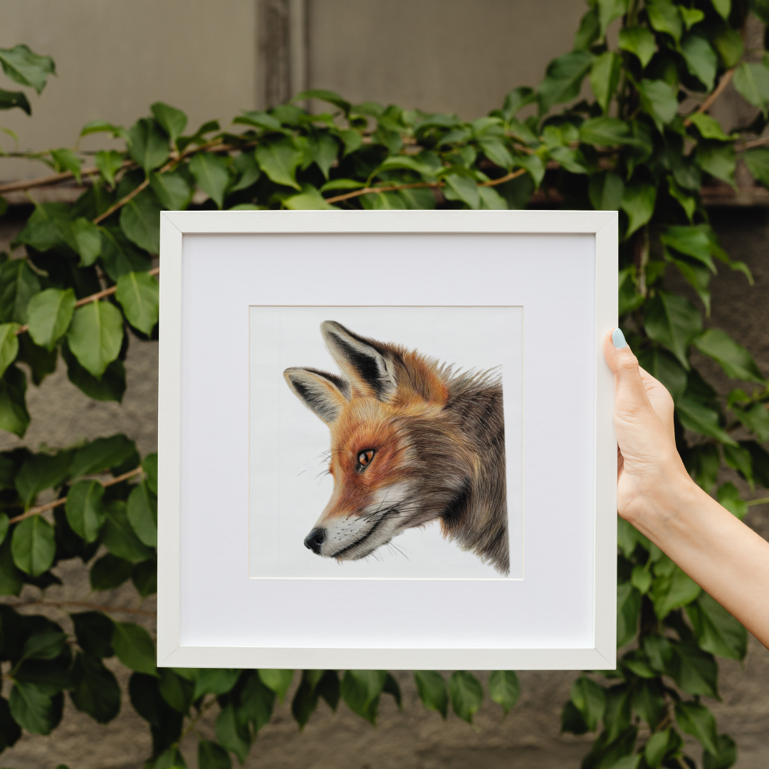 Fox Fine Art Print