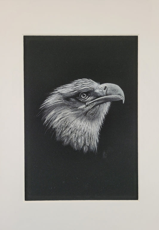 Spirit of the Eagle