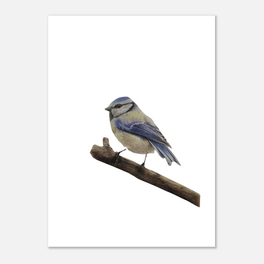 ca7daddc-4767-4d21-bba9-d03cc7d3a9c3