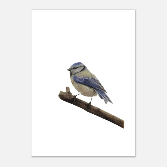 e3449320-f829-4489-b57b-8becc4e2511b